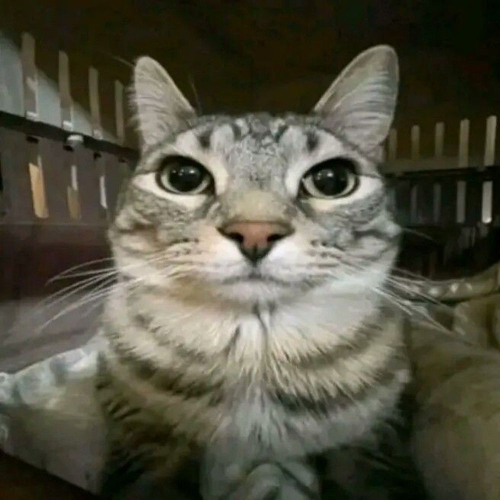 ☆