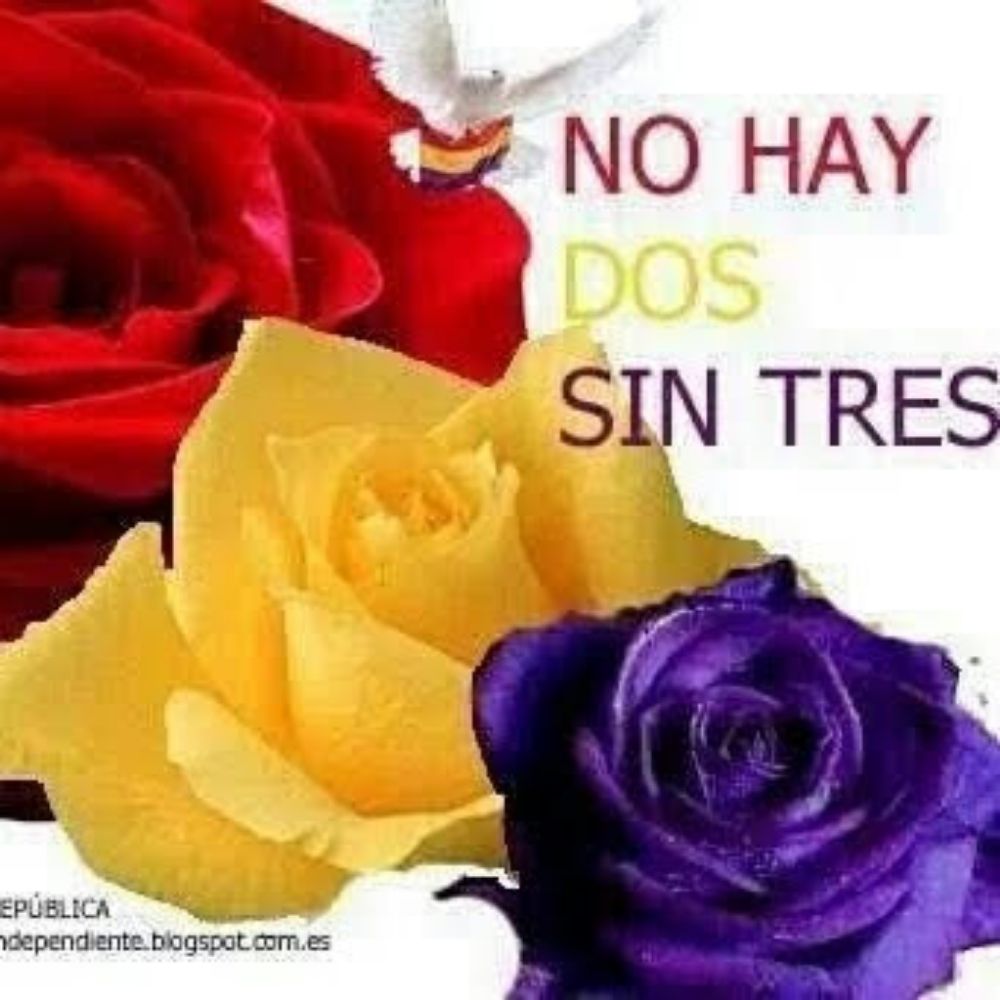 🔻Argapa🔻🟥🟨🟪💜💜💜✊🏼✊🏼✊🏼