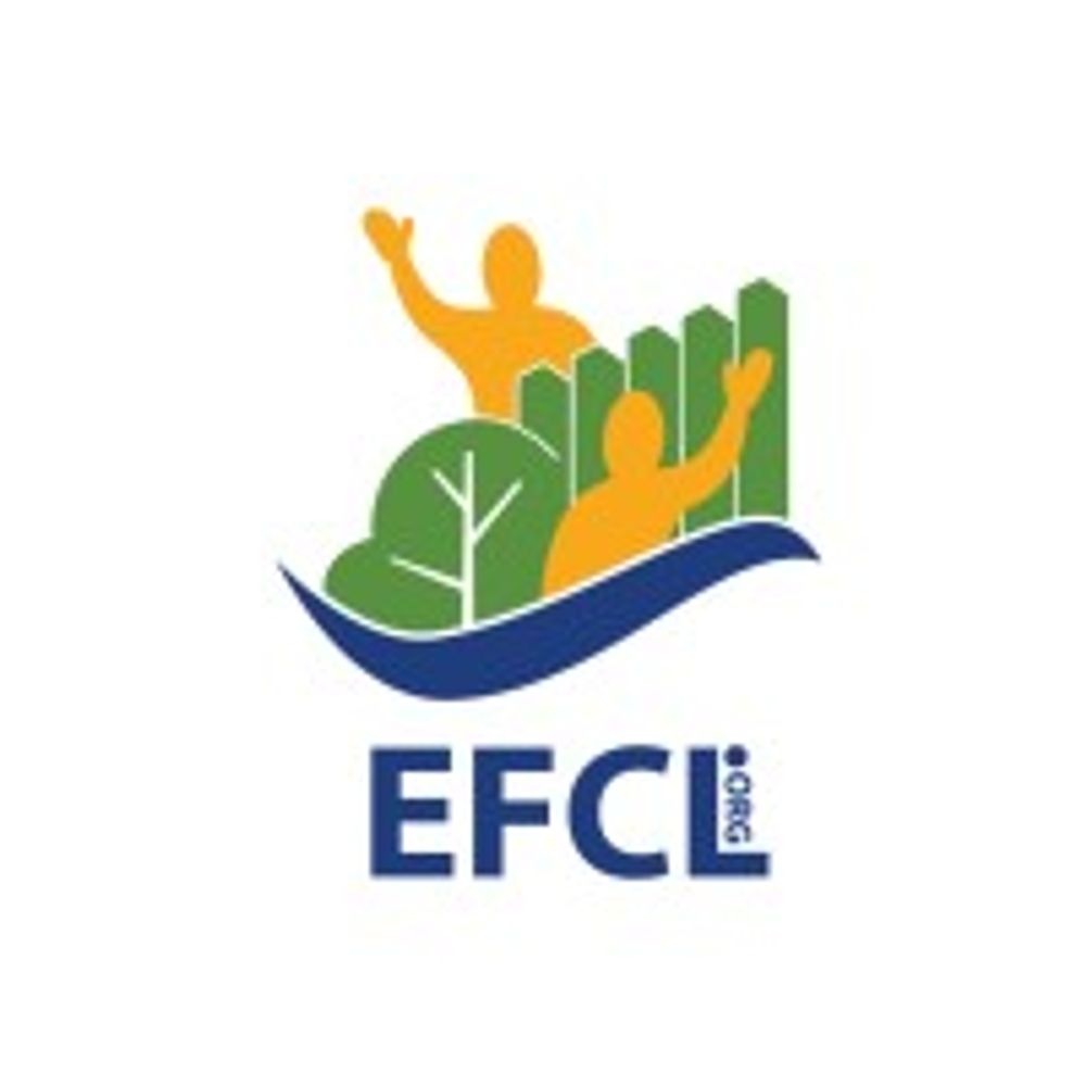 Edmonton Federation of Community Leagues
