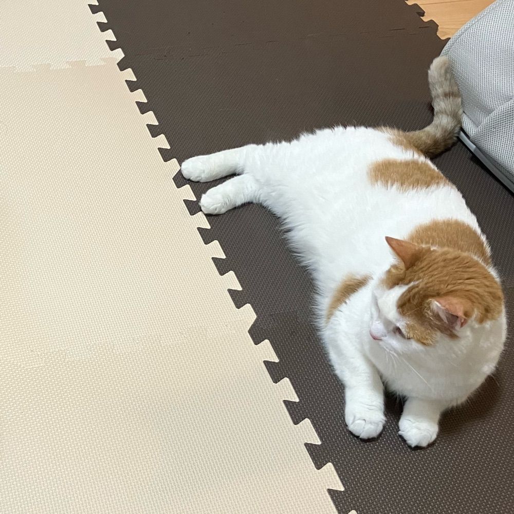 ゆんなえービシー