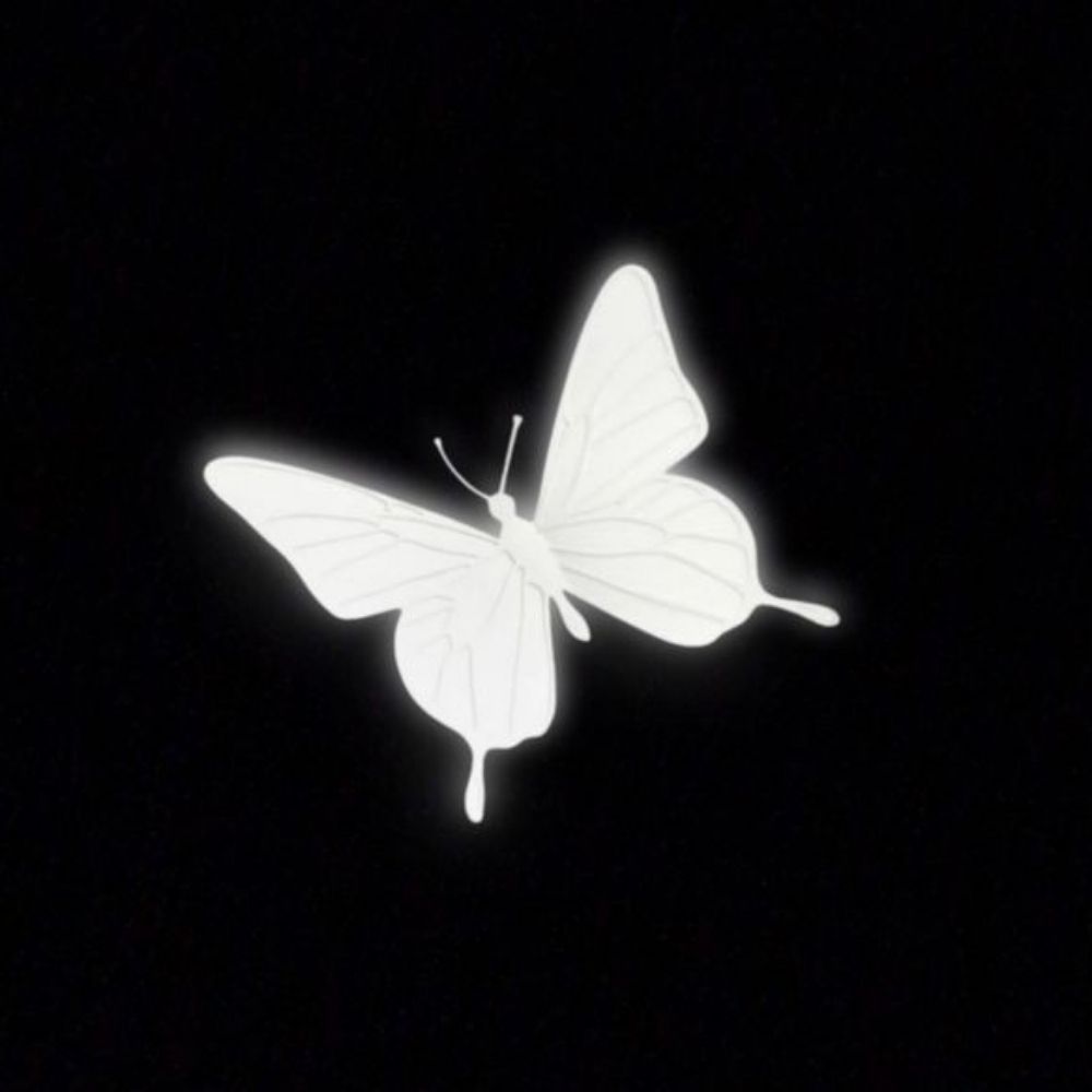   ִ✦⸼࣪⸳ 