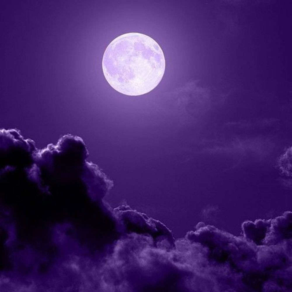 🧙🏻‍♀️🔮🪄🦉 ≽^•⩊•^≼ 🐈‍⬛🧹🧛🏻‍♀️🌙