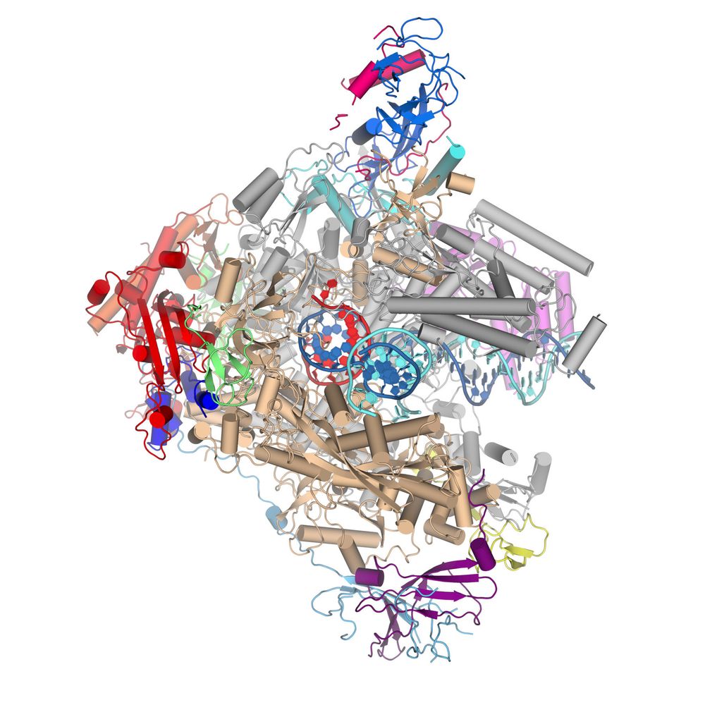 Tornero Lab