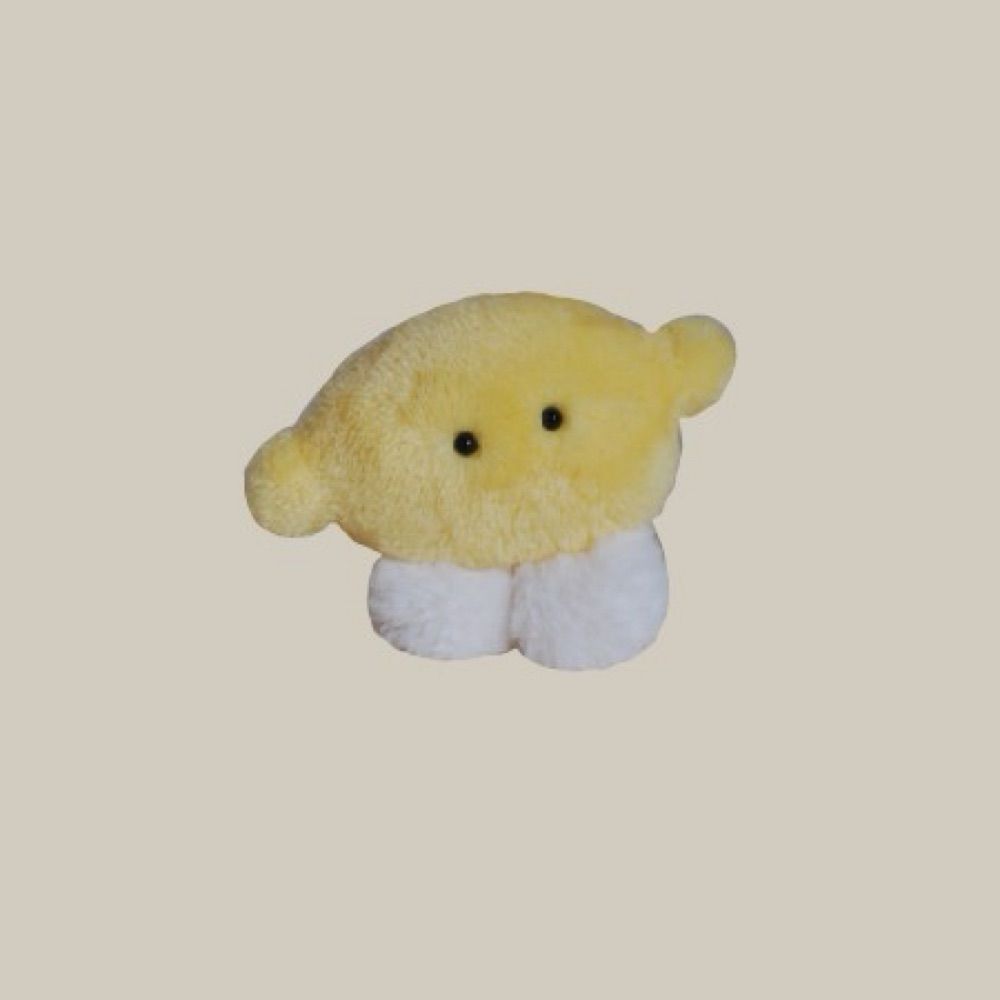 な̸