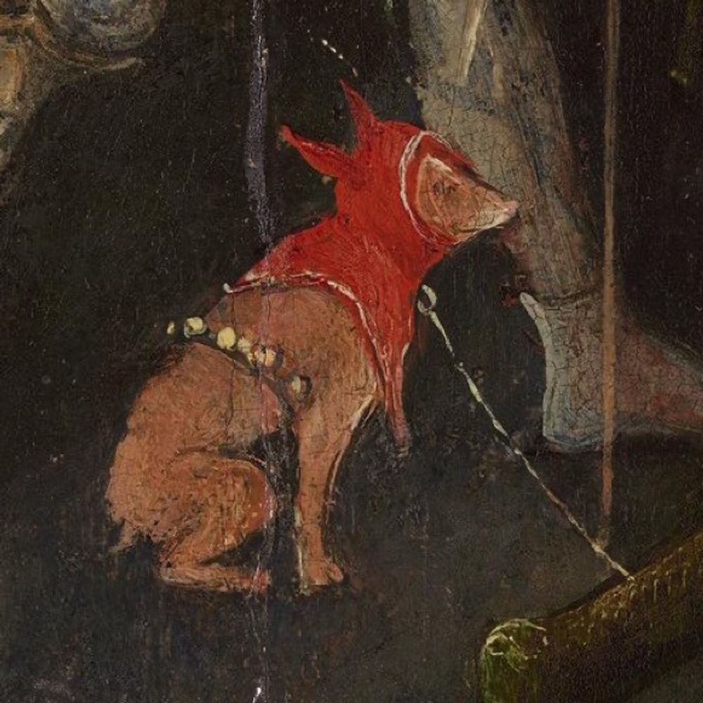 arlo rats dot com
