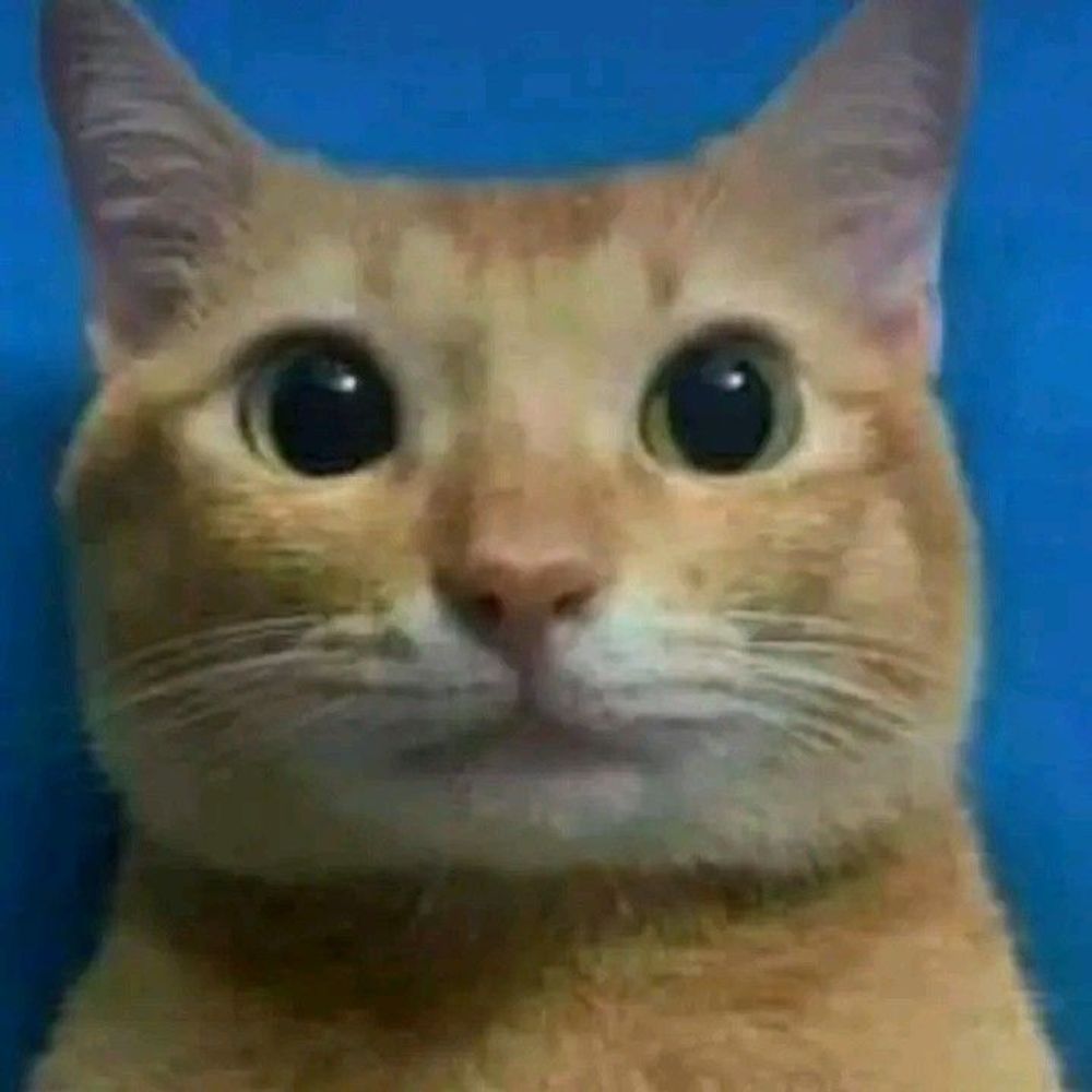 Diopy