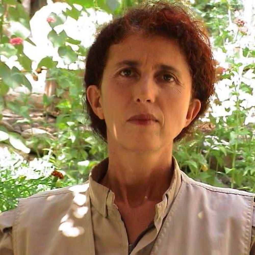 Jan Mim