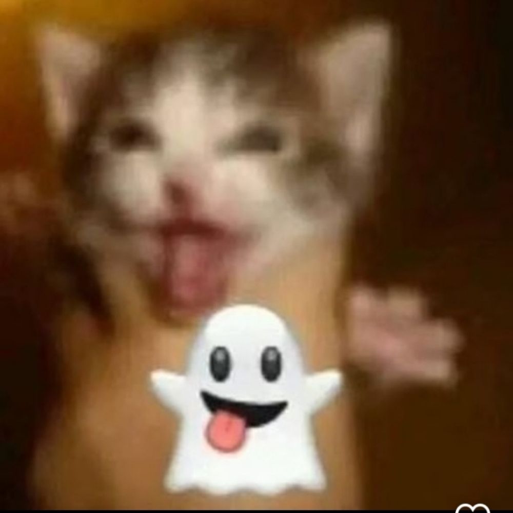 labritinha