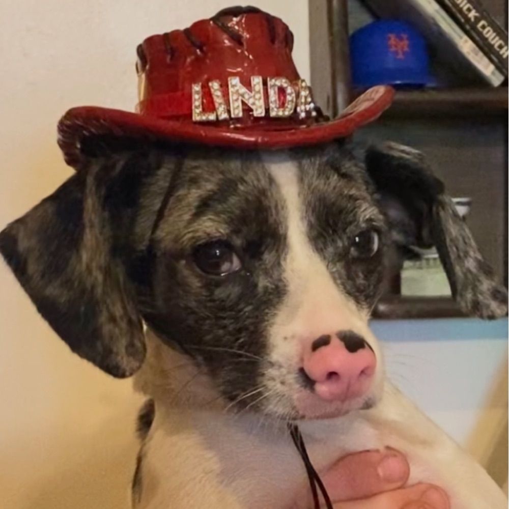 Linda