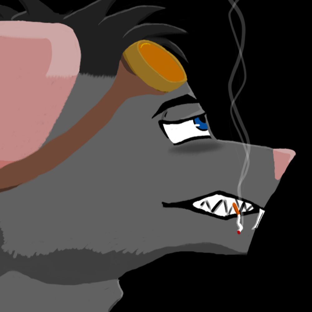 Merc Ratto