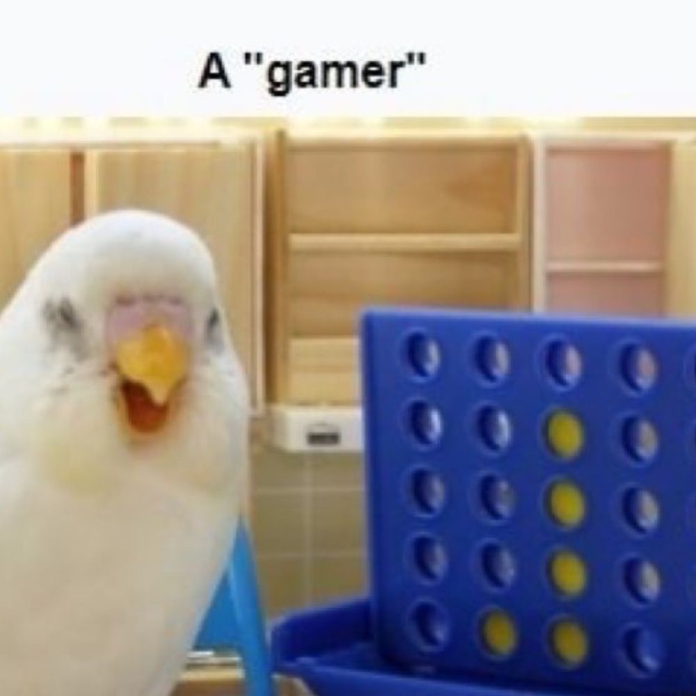 A good birb 