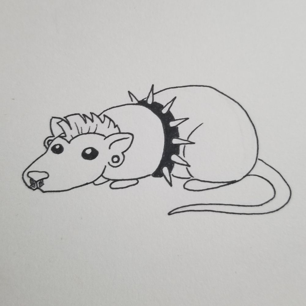 The Rat
