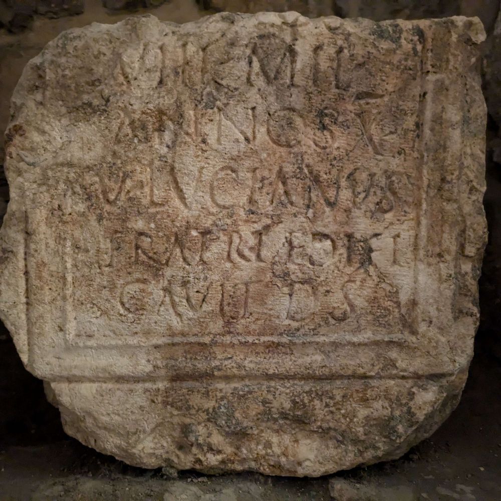 ROMANA ERC 