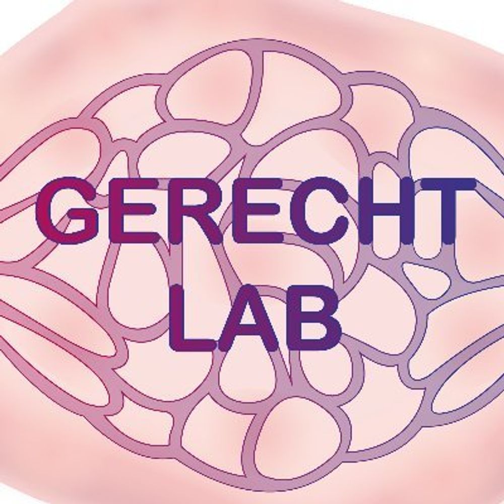 Gerecht Lab