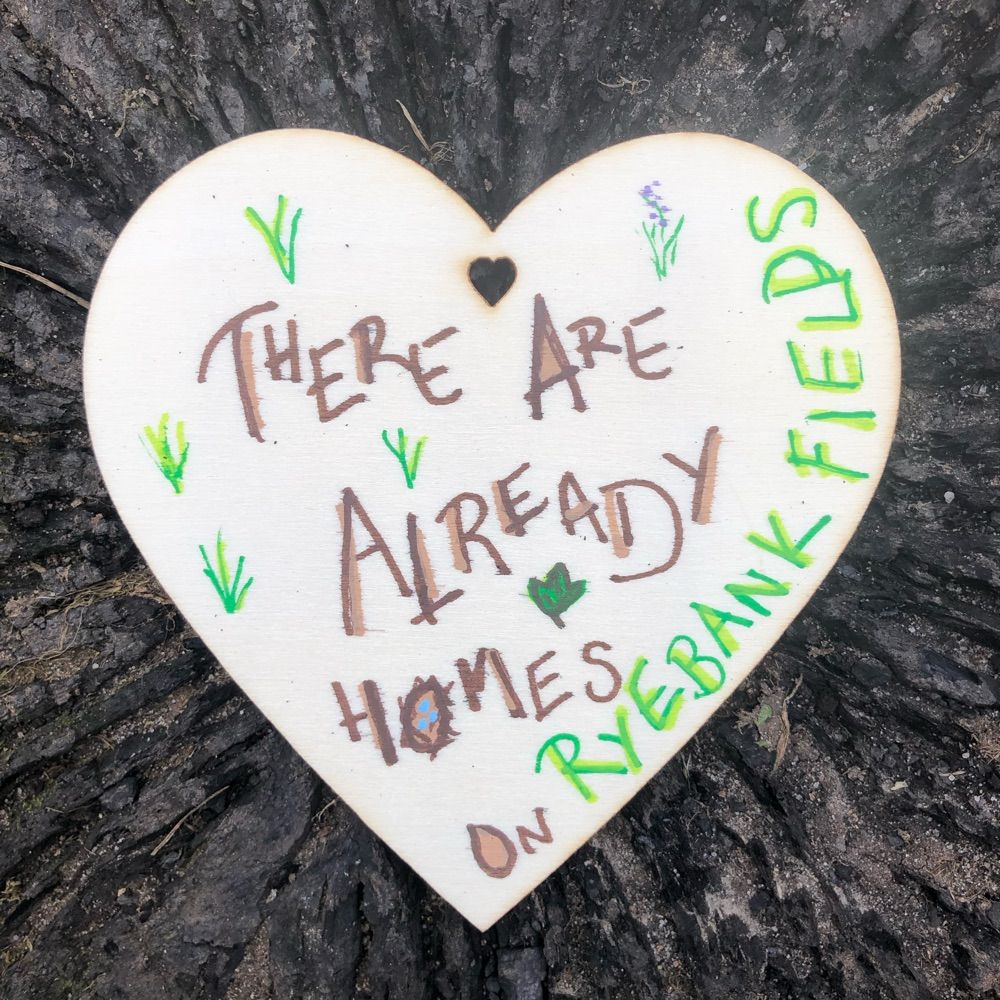 Save Ryebank Fields