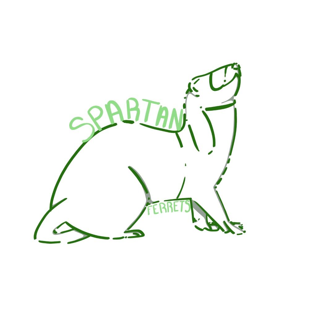 Spartan Ferrets