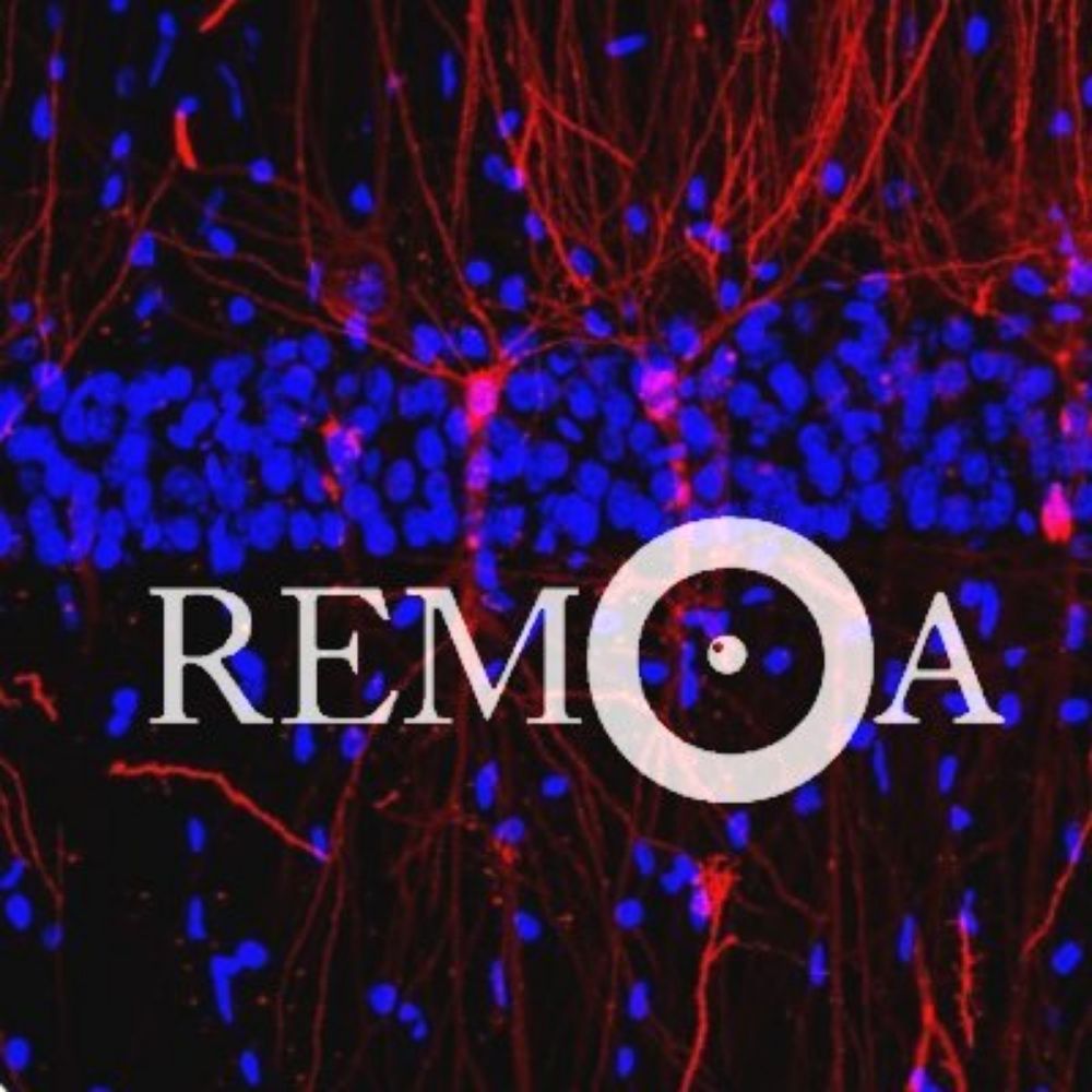 REMOA-Spanish Network for Advanced Microscopy