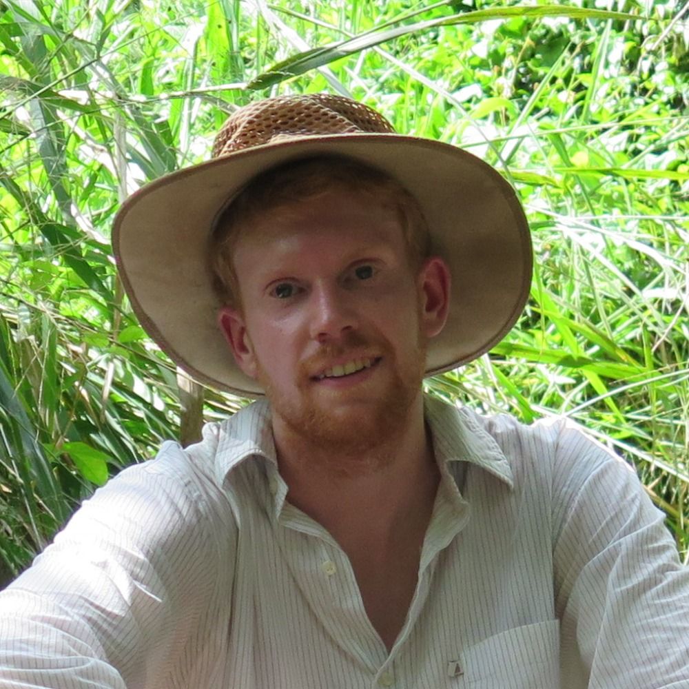 Øystein Opedal
