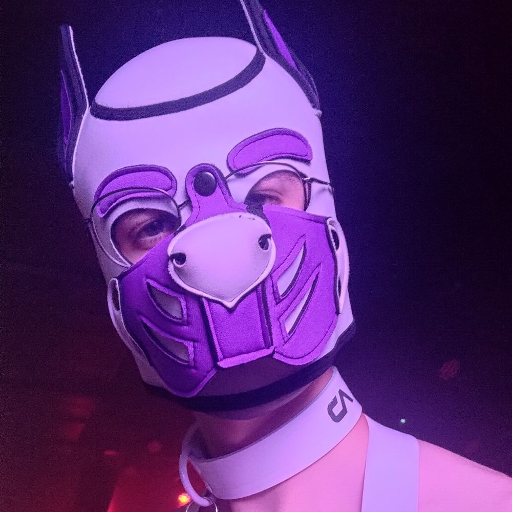Pup Pharos 🇫🇷🏳️‍🌈