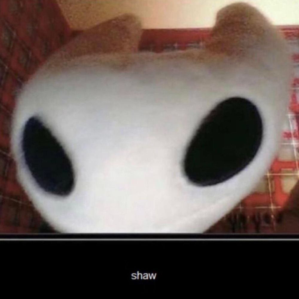 wooooooooods9os.bsky.social profile picture