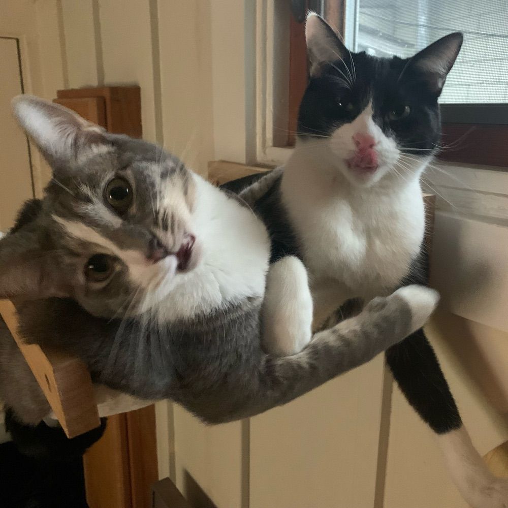 Sophie & Max