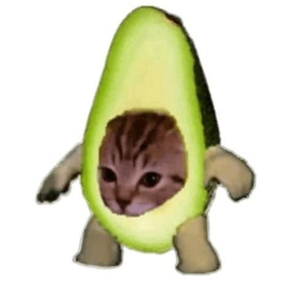 nanicolina