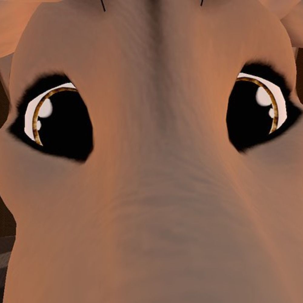 Tai