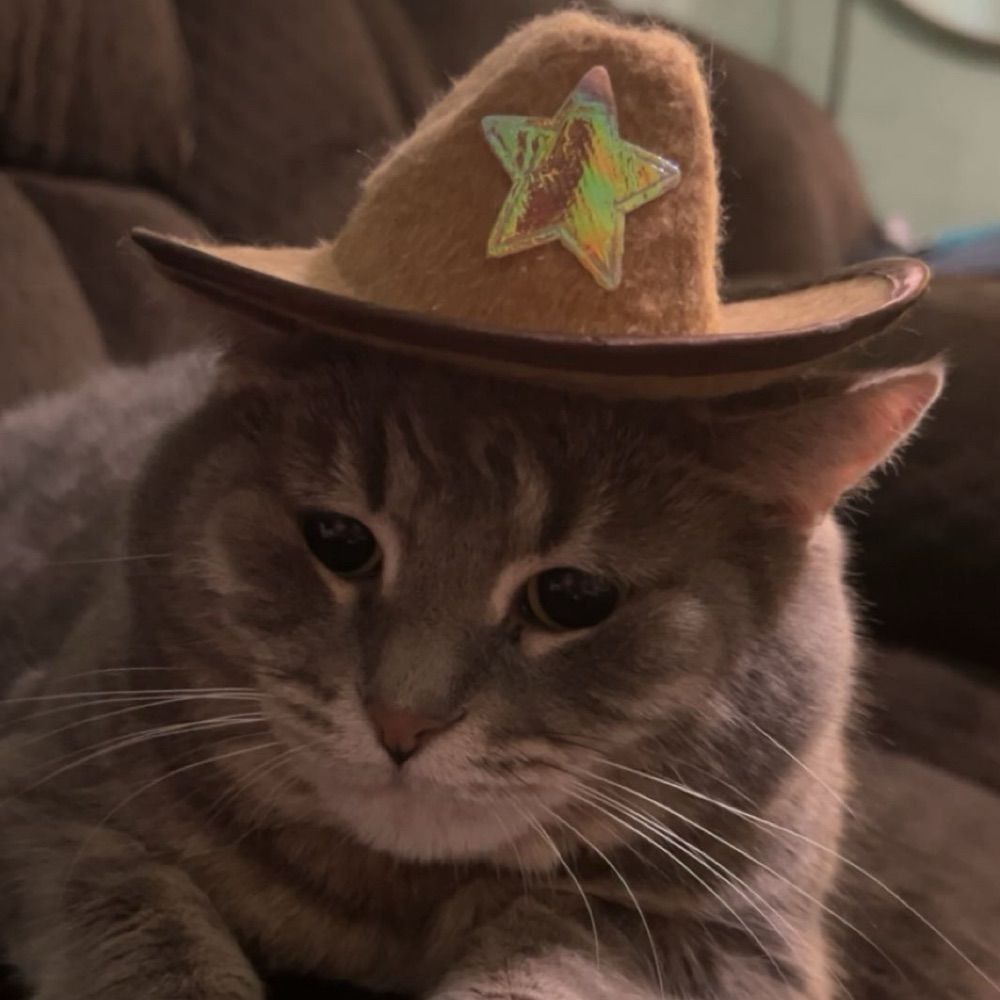 User avatar