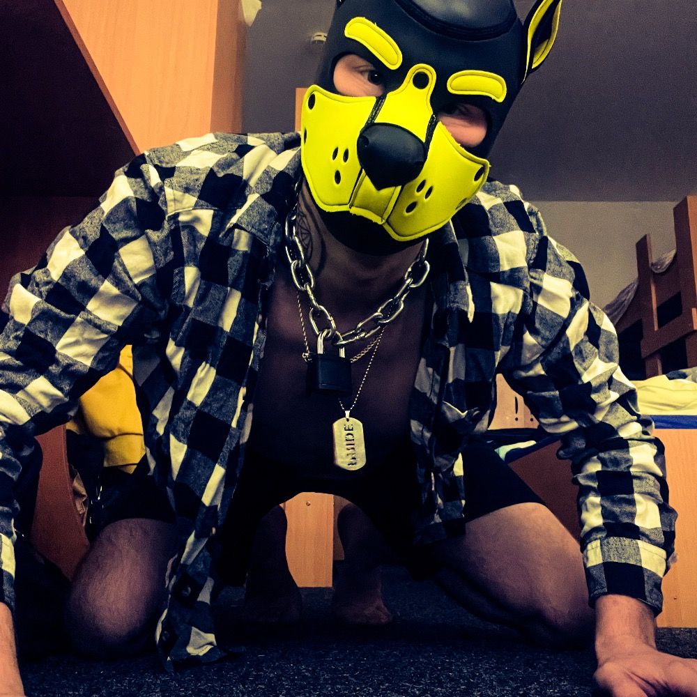 Puppy Dimi