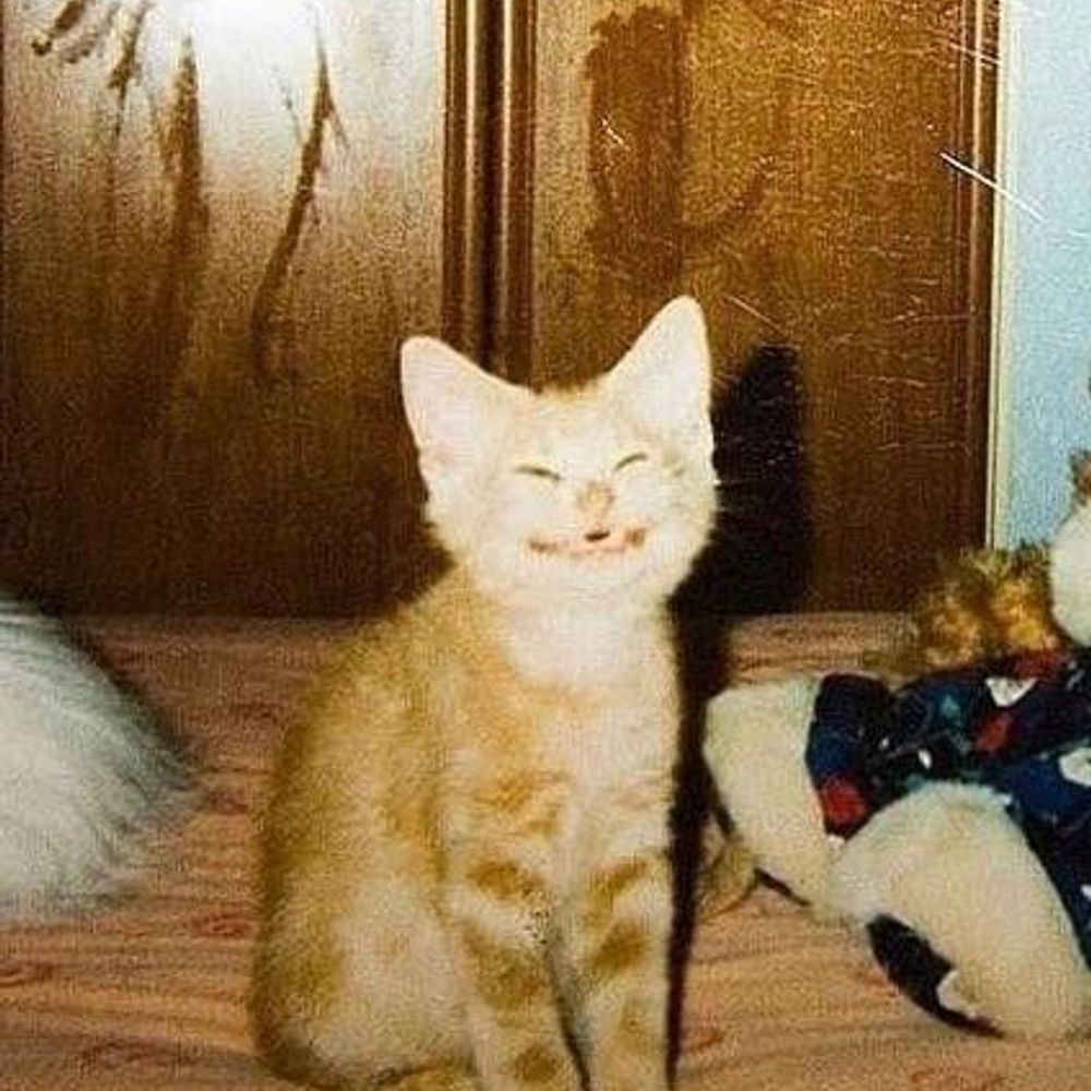 EVIL andrew