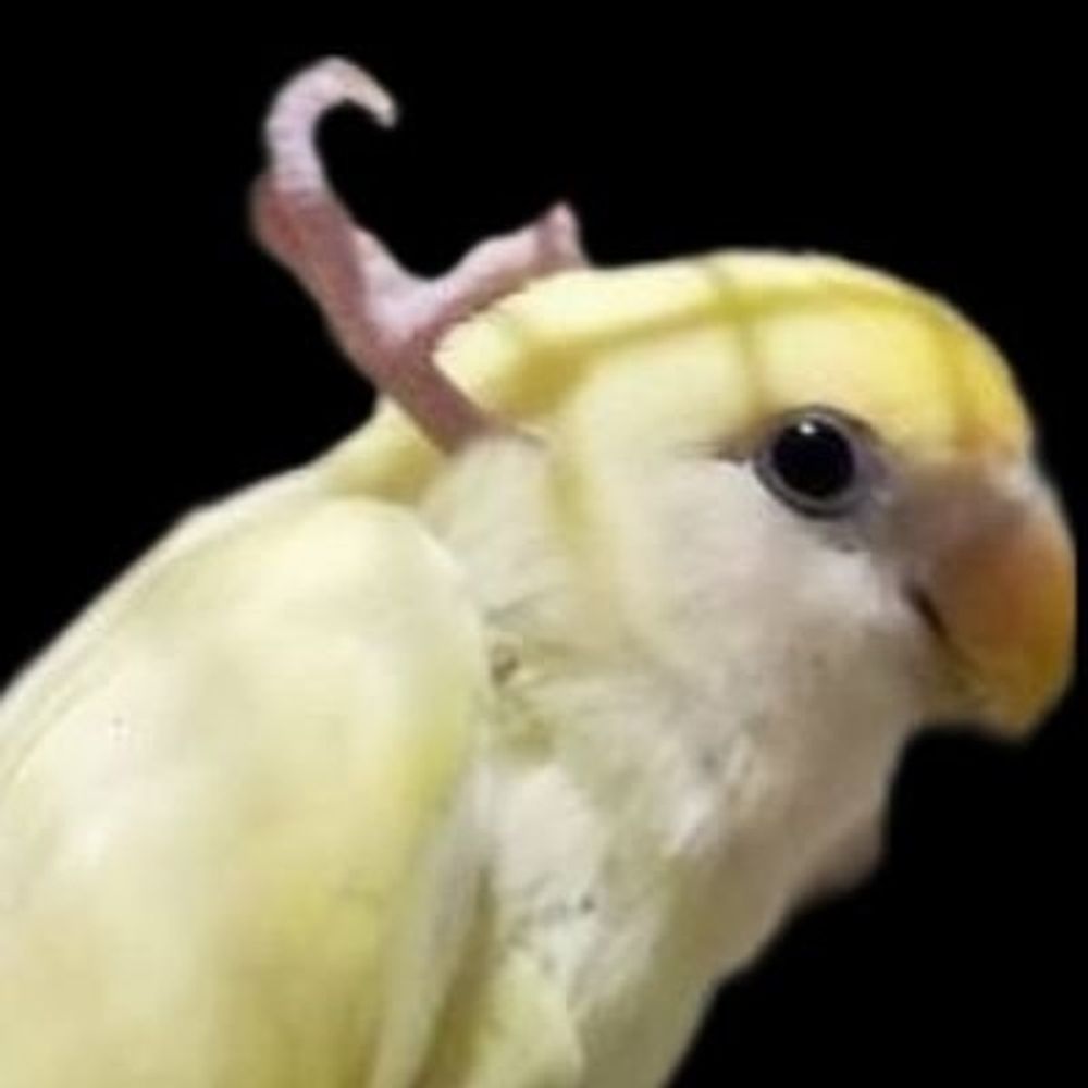琥珀