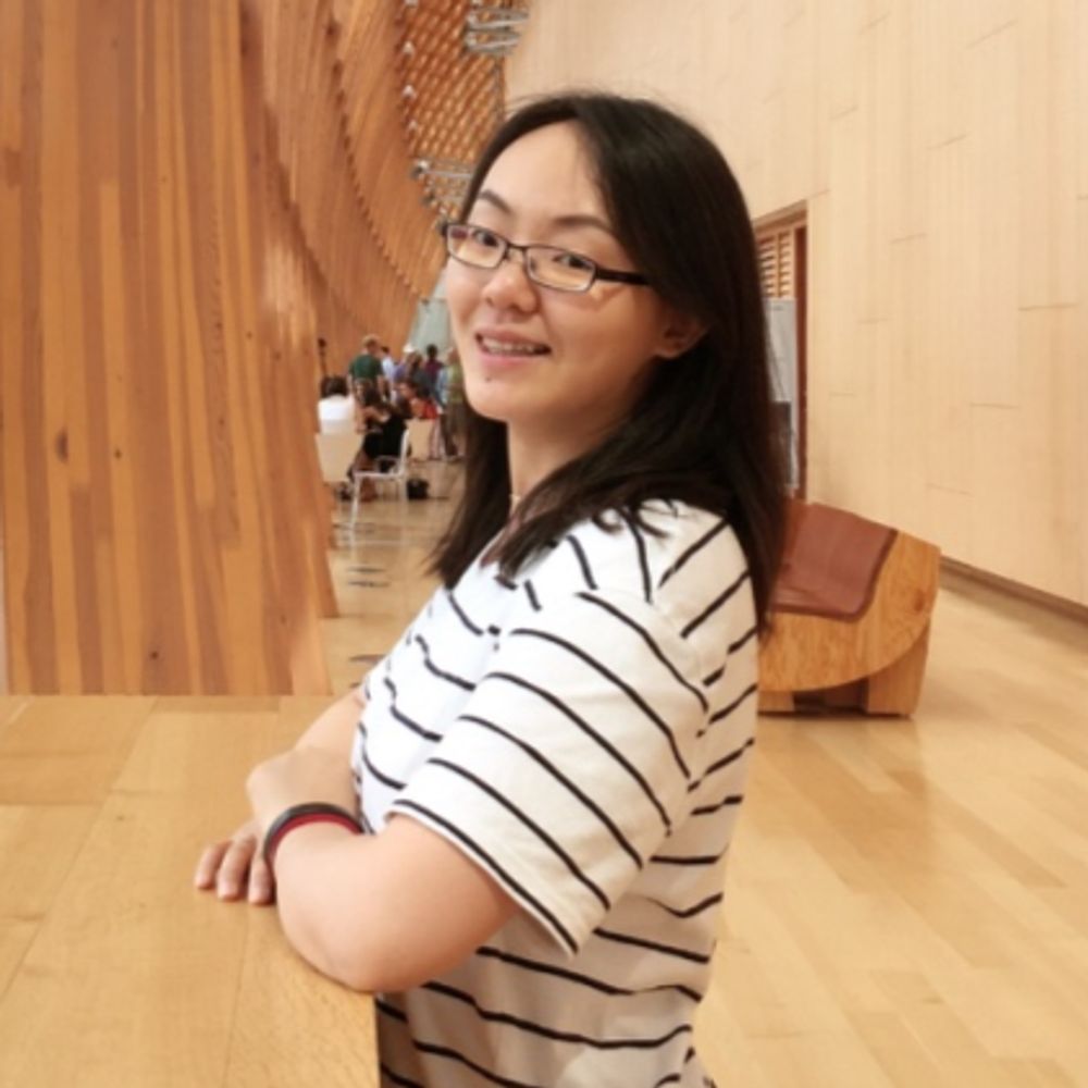 Ding Fei