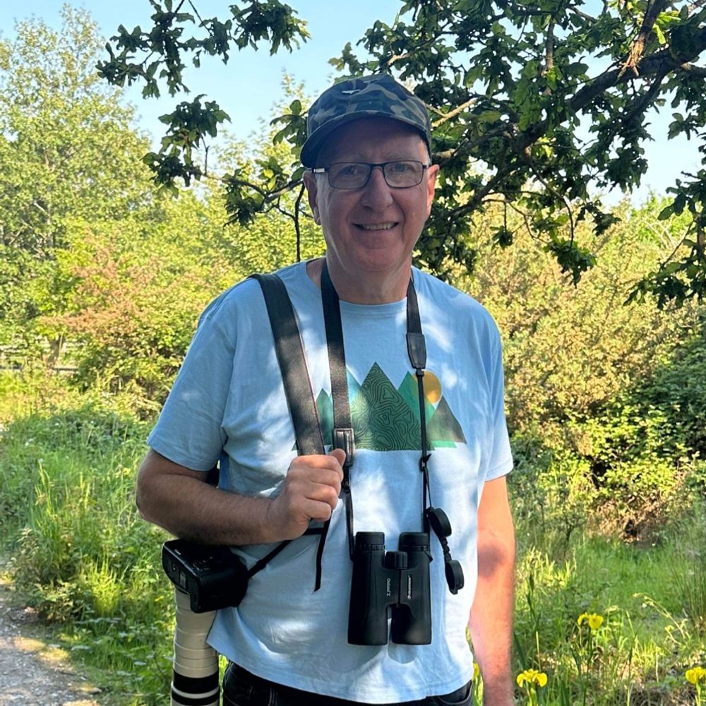 Mountain Birder
