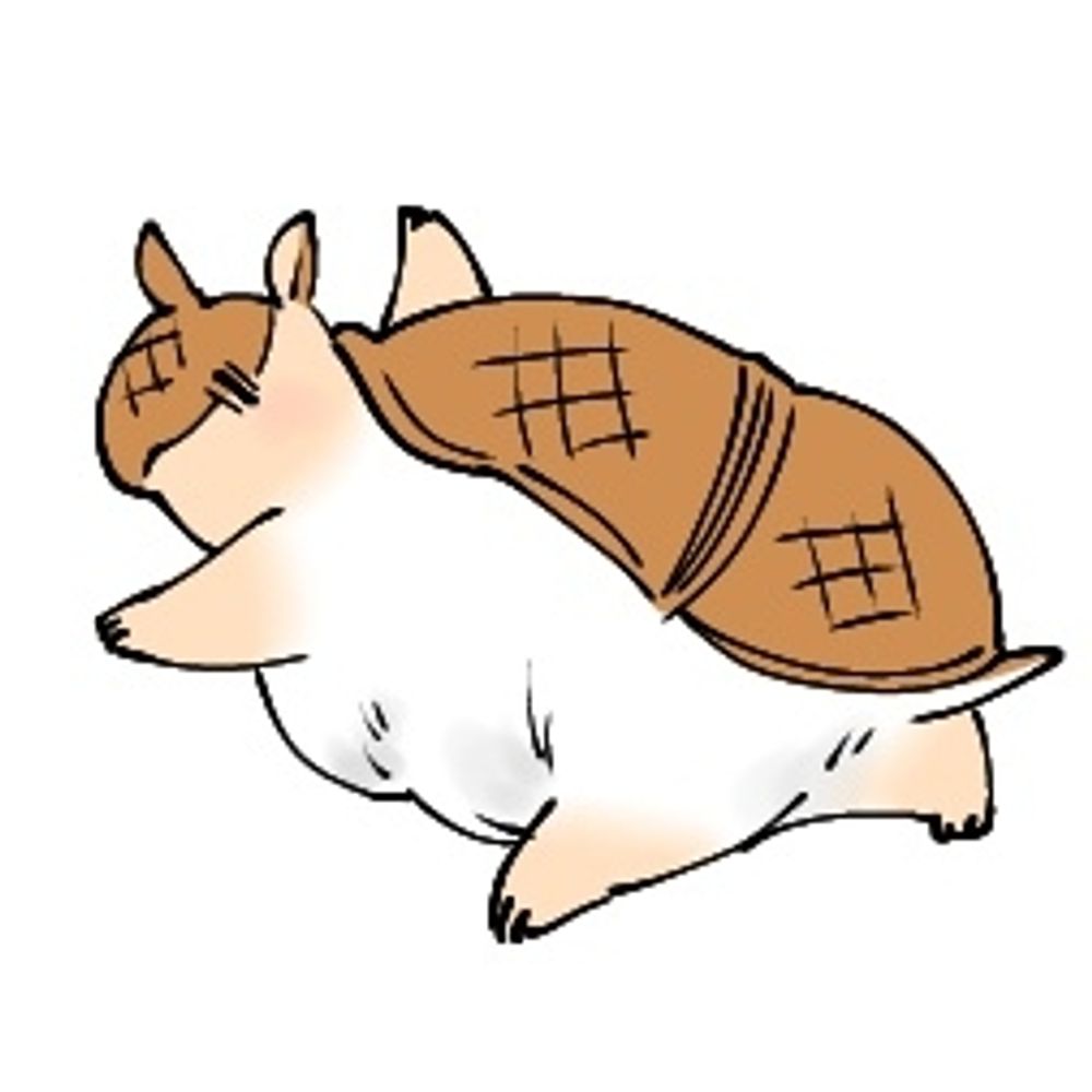 タヅキ