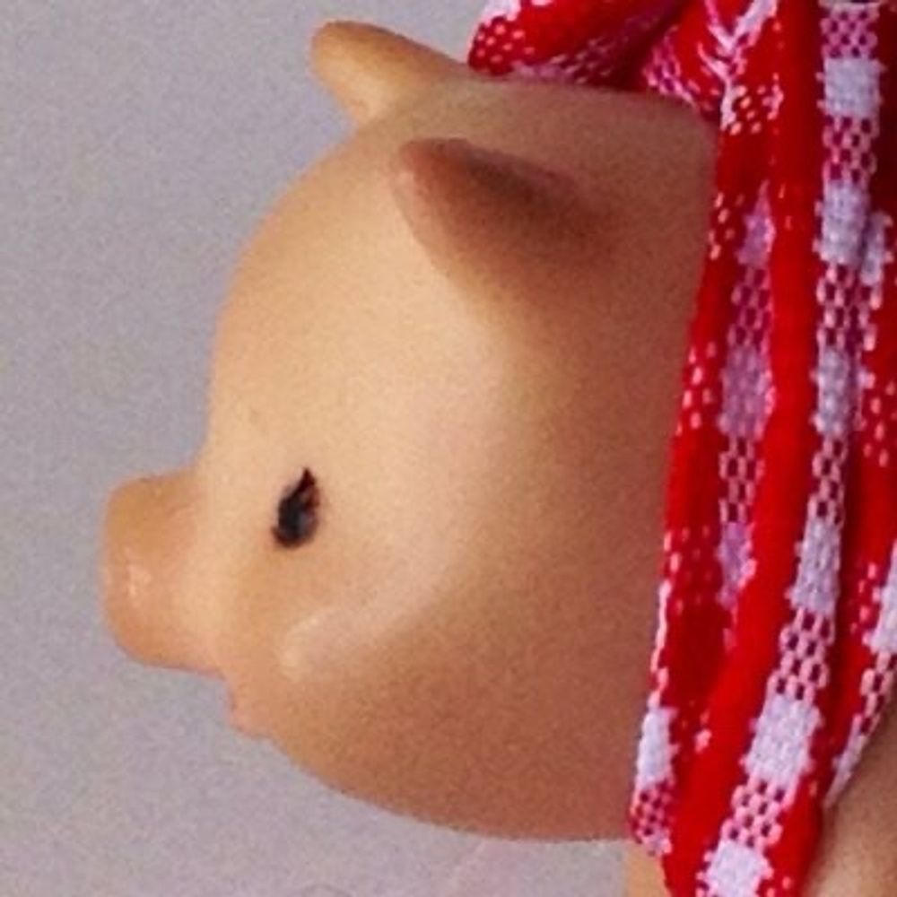 とん部長🐷