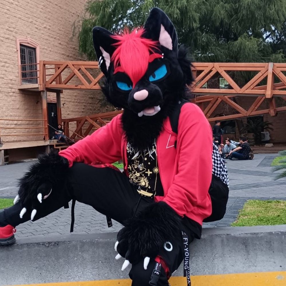 MishBlackCat 