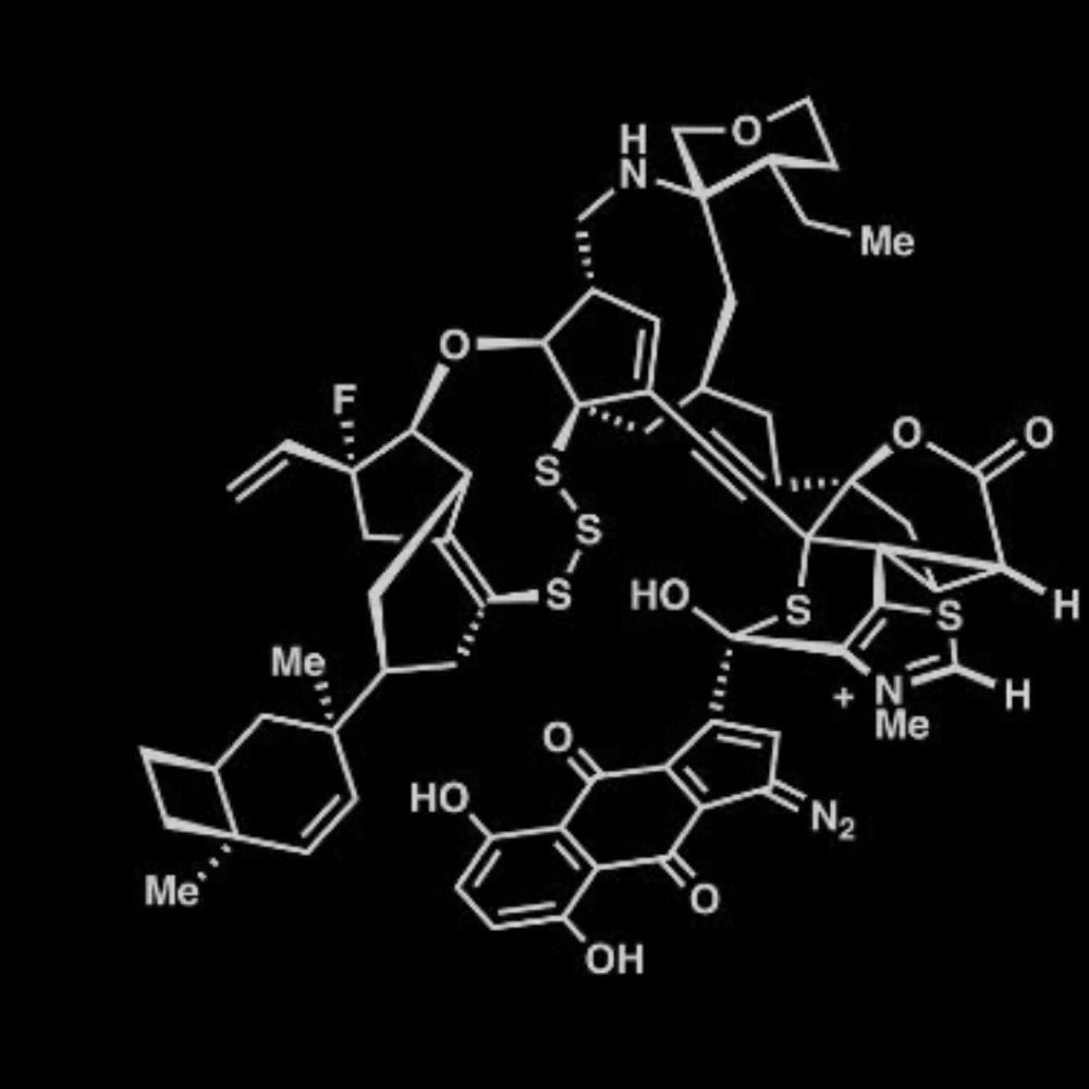 Total Synthesis