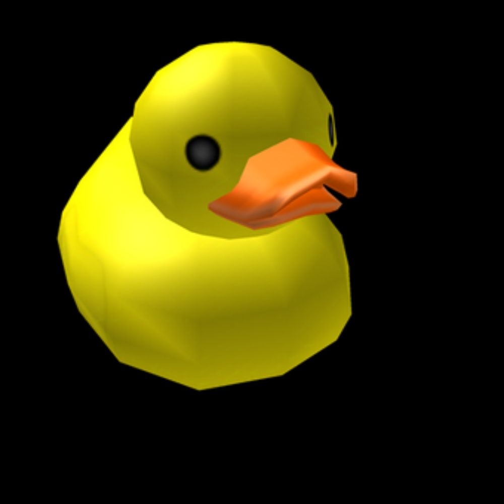 Teh epik duck