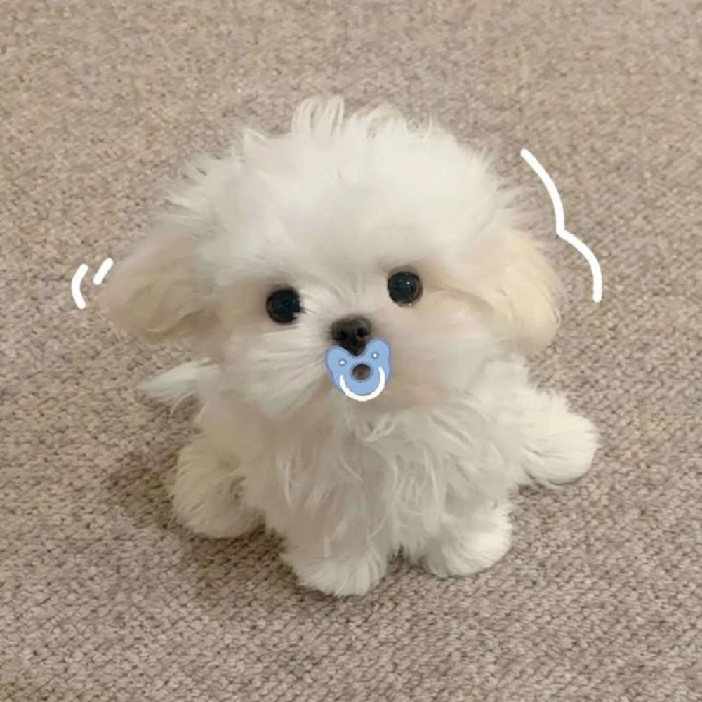 เจเน เจเน่ ✨️🎀