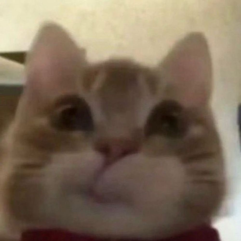 gabu