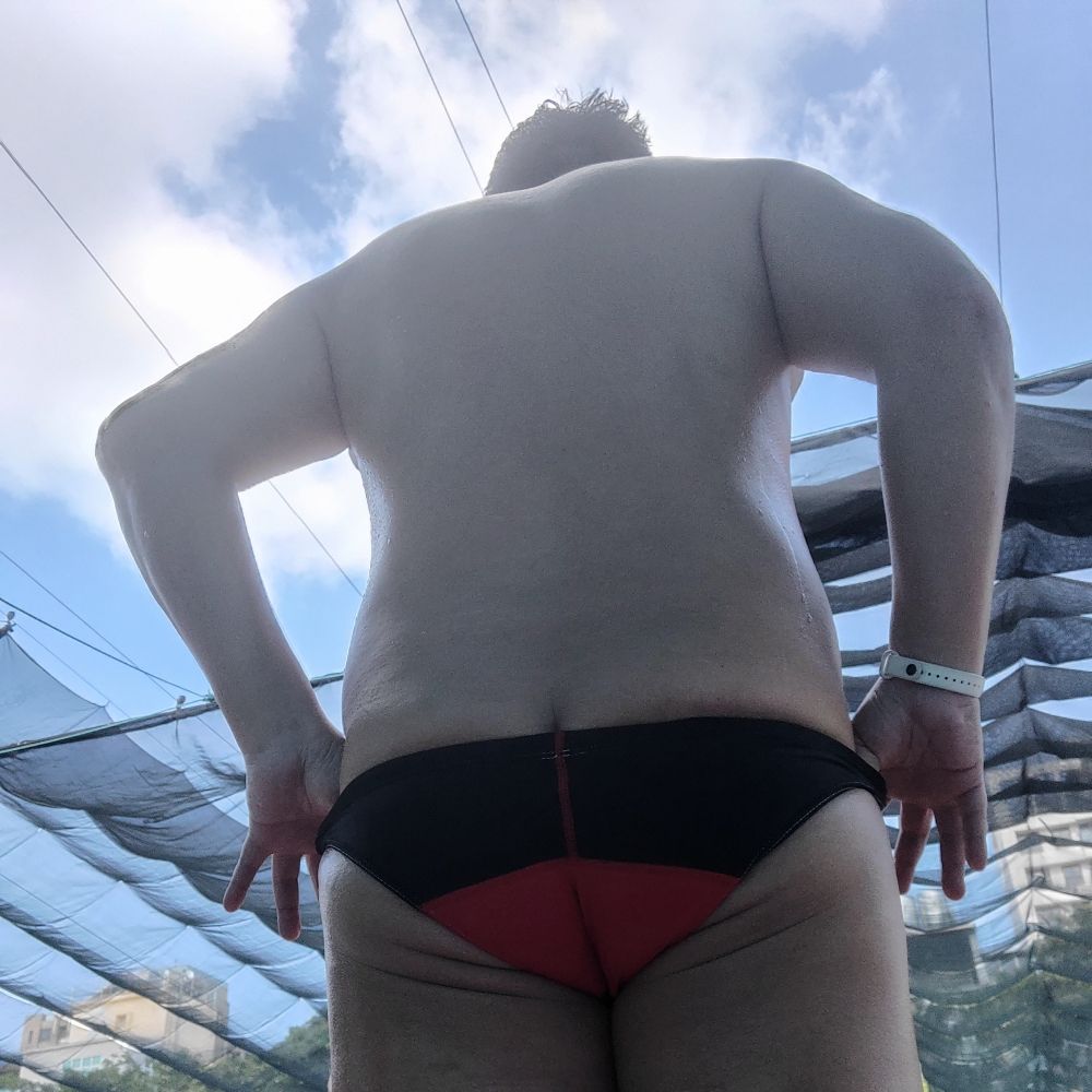 Swimbear