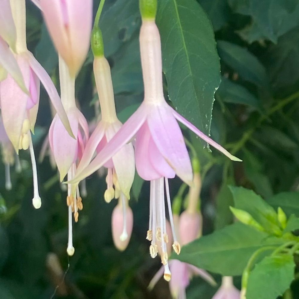 sneakygreg.bsky.social