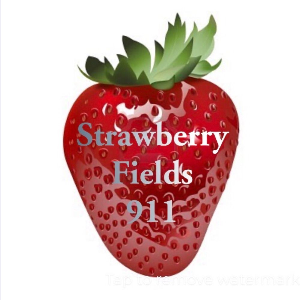 Strawberryfields911