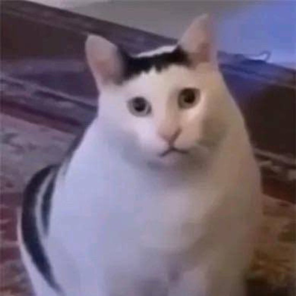 サクヤ