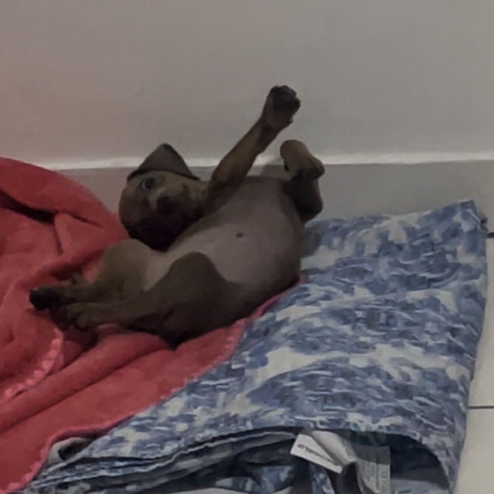 Piscininha