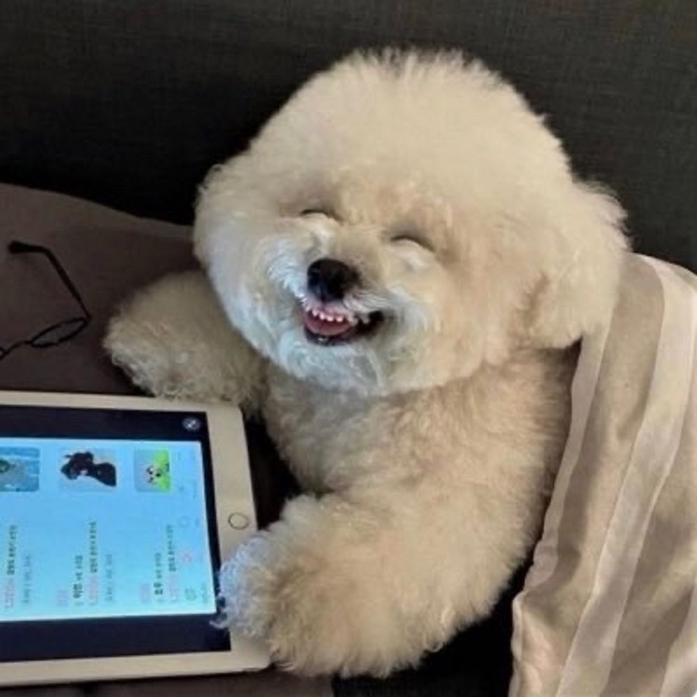 ごとう
