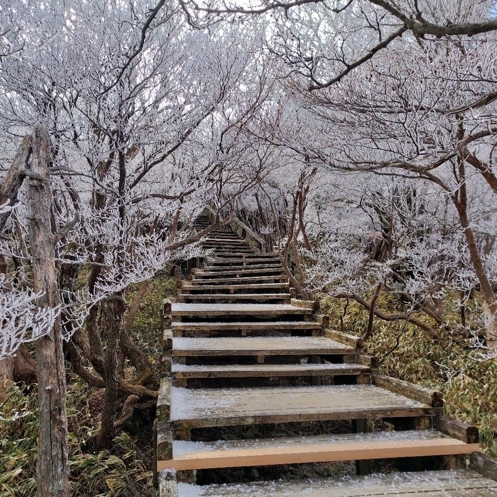影魂