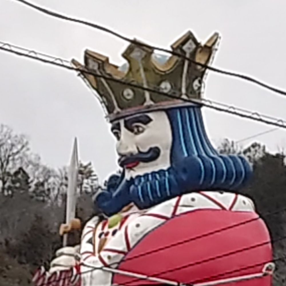 ポリ子