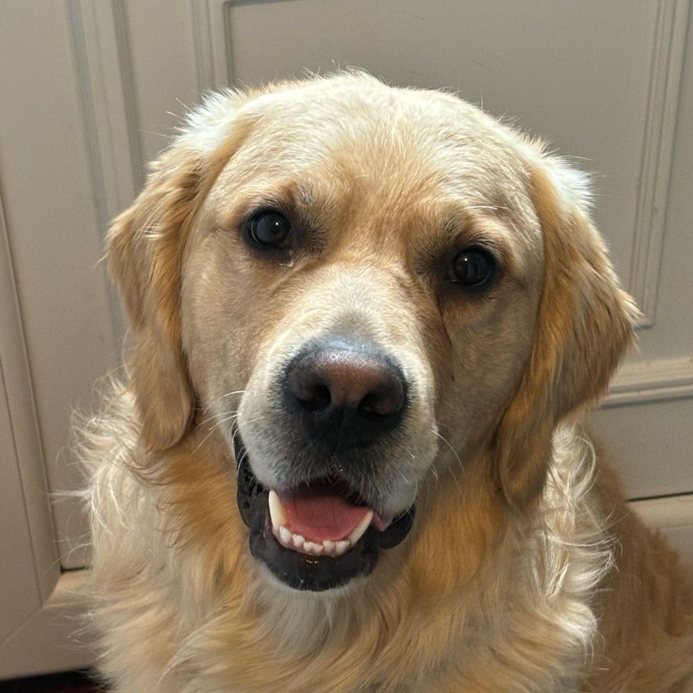 eli