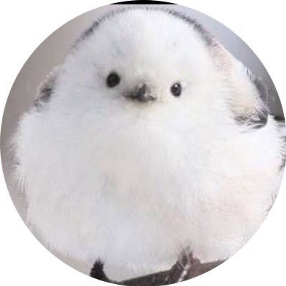 もちもち研究所